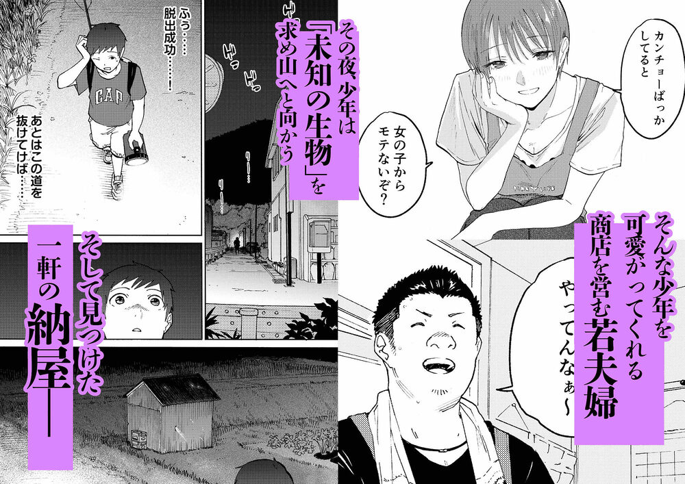 あの納屋 〜ぼくが見たことないおばさんの夜の姿〜 画像2