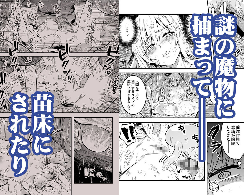 冒険者ちゃんとえっちな冒険5 画像2