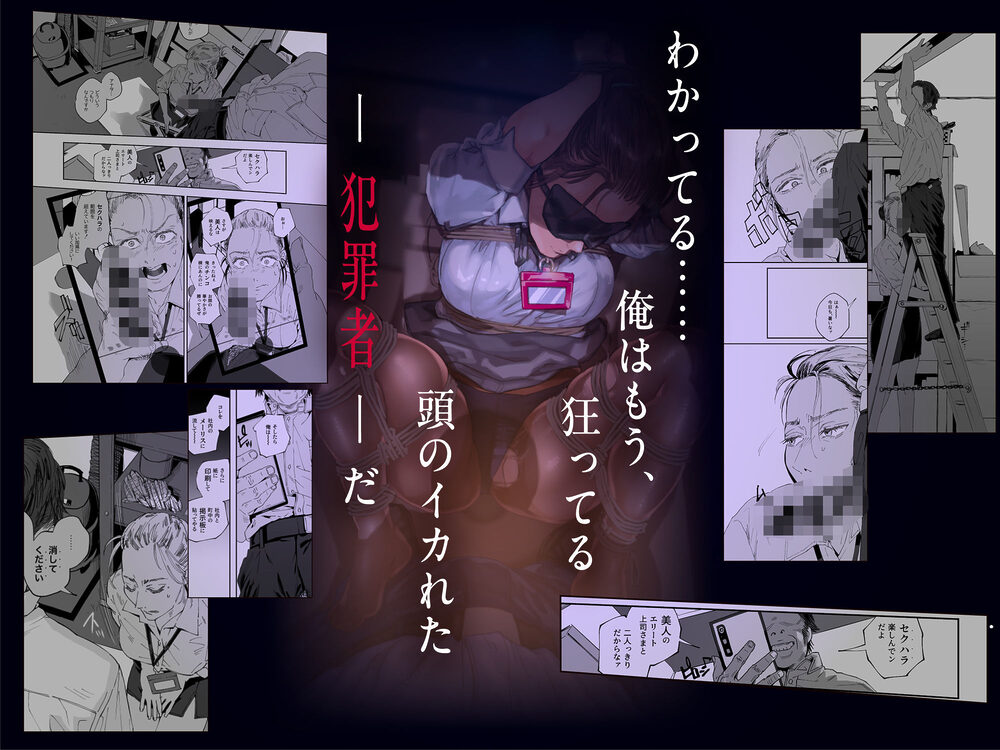 職場のエリート美女上司は、ただの気の強い処女でした！2 ガチ泣きで懇願しても絶頂中出し 学歴コンプ丸出しの超ひどい限界おっさんに 職場で全裸まで剥かれた高学歴女 画像1