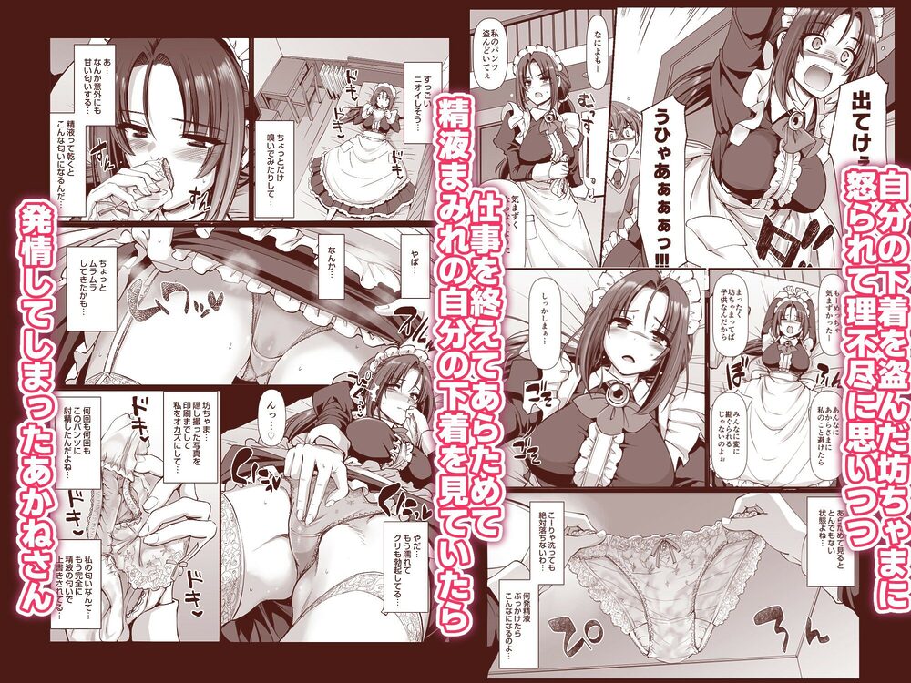 ポンコツ独身メイドあかねさん（28） 画像3